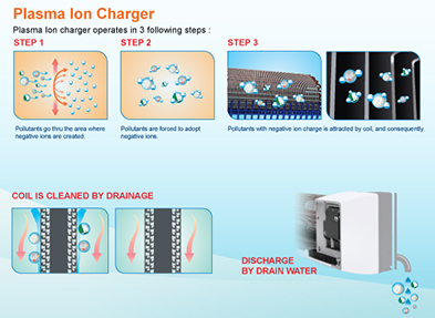 plasma ion charger